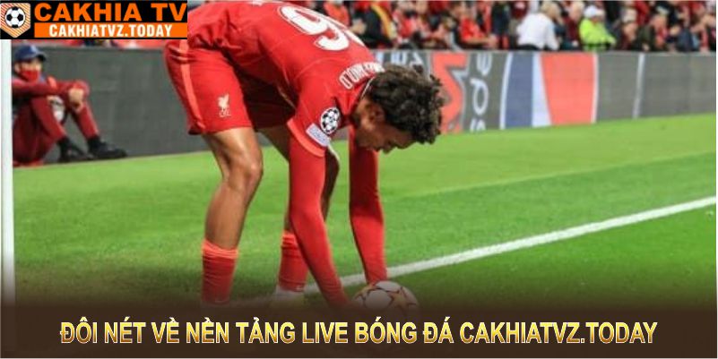 Tìm hiểu đôi nét về nền tảng live bóng đá Cakhiatvz.today